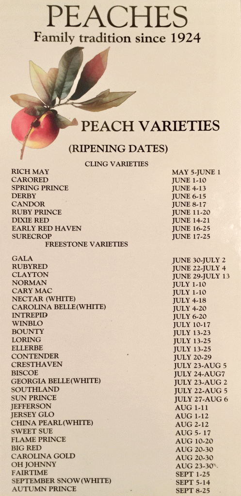 Peach Varieties