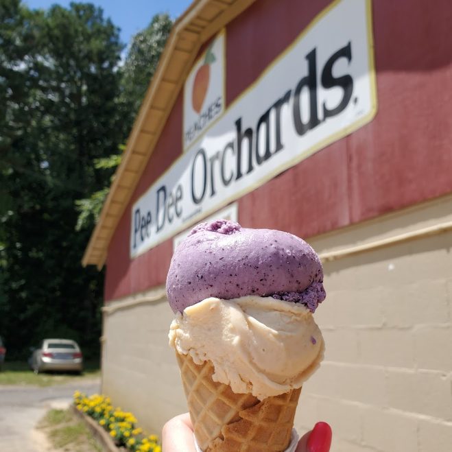 Picture of Pee Dee fresh peach Ice Cream Cone near Rockingham