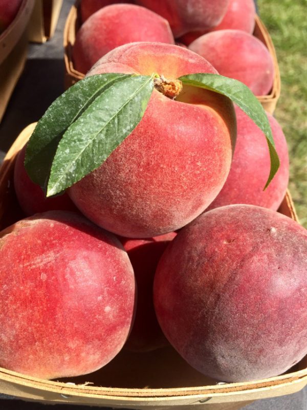 Locations Harman Peaches