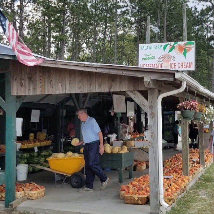 Picture of Kalawi Fresh Peach Stand near Asheboro